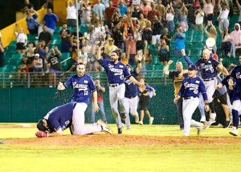 Foto: Liga de Béisbol Superior Doble A (Facebook)