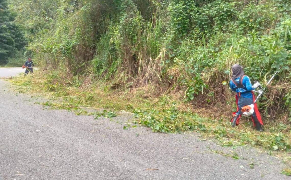 “Nos dimos a la tarea de limpiar la carretera porque nos cansamos de esperar por el gobierno que sigue abandonando los campos de nuestro país”, dijo a La Perla del Sur la líder comunitaria de La Carmelita, Zory Méndez. (Foto suministrada)