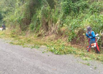 “Nos dimos a la tarea de limpiar la carretera porque nos cansamos de esperar por el gobierno que sigue abandonando los campos de nuestro país”, dijo a La Perla del Sur la líder comunitaria de La Carmelita, Zory Méndez. (Foto suministrada)