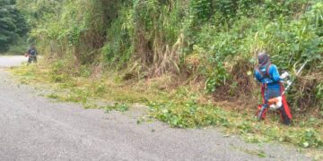 “Nos dimos a la tarea de limpiar la carretera porque nos cansamos de esperar por el gobierno que sigue abandonando los campos de nuestro país”, dijo a La Perla del Sur la líder comunitaria de La Carmelita, Zory Méndez. (Foto suministrada)