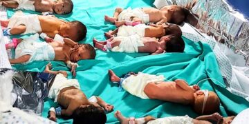 Bebés prematuros palestinos en el hospital de Shifa, en Ciufadf de Gaza, el domingo 12 de noviembre de 2023. (Foto: Dr. Marawan Abu Saada via AP, Archivo)