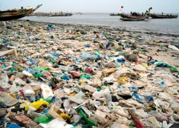 Una playa contaminada con plásticos en Dakar, Senegal, el 8 de noviembre de 2022.(Foto: AP/Leo Correa)
