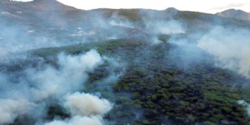Foto: Negociado del Cuerpo de Bomberos