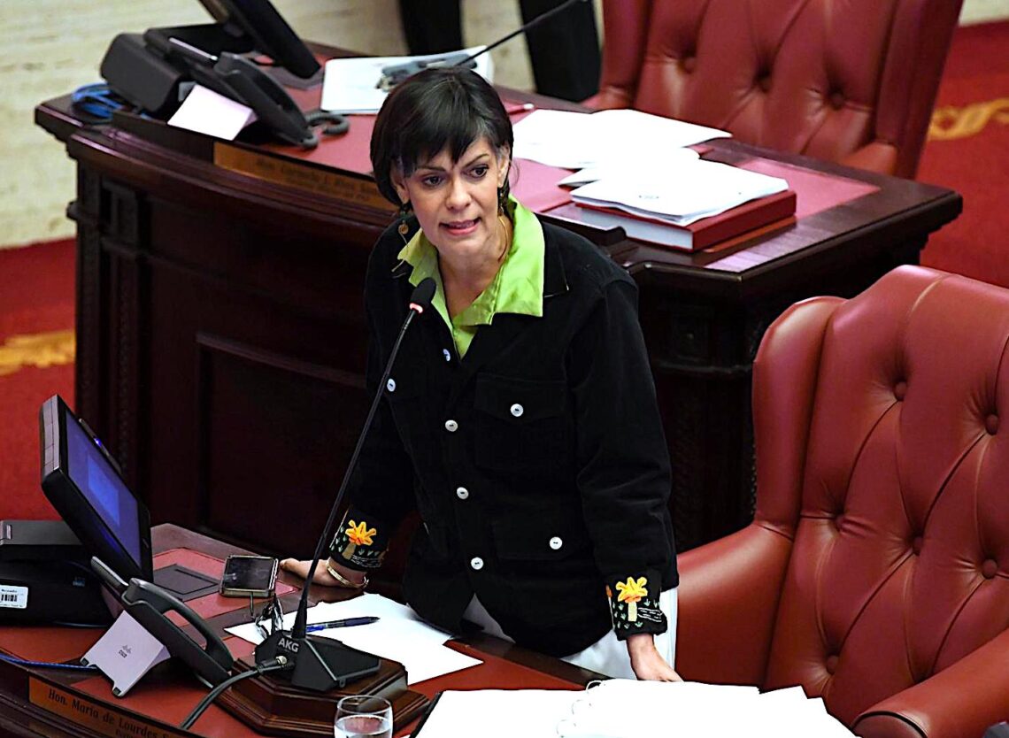 Senadora María de Lourdes Santiago Negrón. (Foto suministrada)