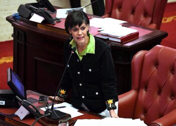 Senadora María de Lourdes Santiago Negrón. (Foto suministrada)