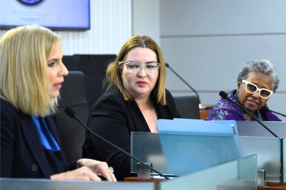 Comisión de Asuntos de las Mujeres. (Foto suministrada)