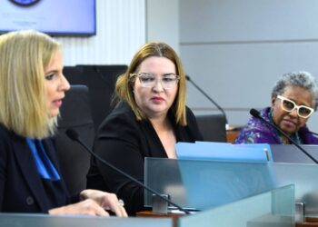 Comisión de Asuntos de las Mujeres. (Foto suministrada)