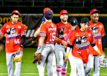 Los Polluelos de Aibonito clasificaron para la ronda de ganadores. (Foto suministrada)