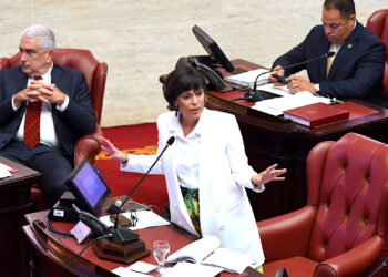 Senadora del Partido Independentista Puertorriqueño (PIP),María de Lourdes Santiago Negrón. (suministrada)