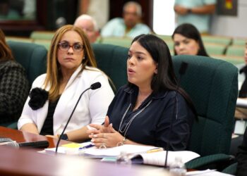 Anaís Rodríguez Vega, secretaria de Recursos Naturales y Ambientales. (Foto suministrada)