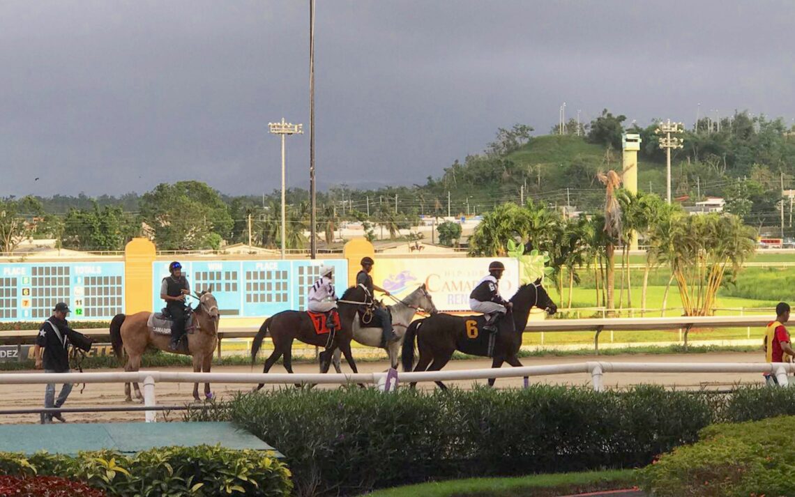 Hipódromo Camarero. (Foto: CyberNews)