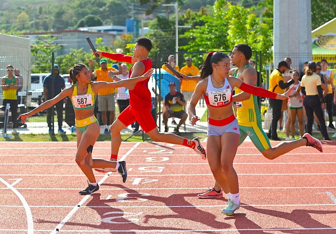 Foto: L. Minguela / LAI