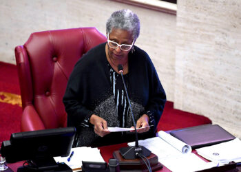 Senadora Ana I. Rivera Lassén. (suministrada)