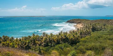 (Foto: Para la Naturaleza / Facebook)