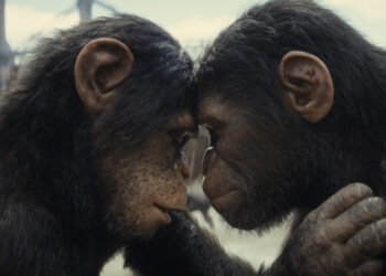 Soona (Lydia Peckham) y Noa (Owen Teague) en KINGDOM OF THE PLANET OF THE APES. (Foto: 20th Century Studios)