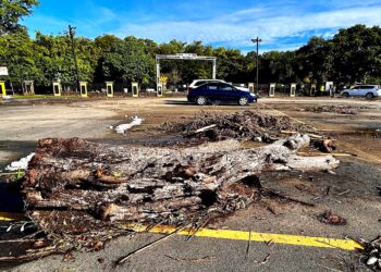 Dos crecidas en 24 horas del río Barranchín inundaron de escombros el parque recreativo. (Foto: Omar Alfonso)