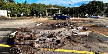 Dos crecidas en 24 horas del río Barranchín inundaron de escombros el parque recreativo. (Foto: Omar Alfonso)