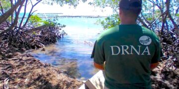 Vigilante del Departamento de Recursos Naturales Ambientales. (Foto: Omar Alfonso)
