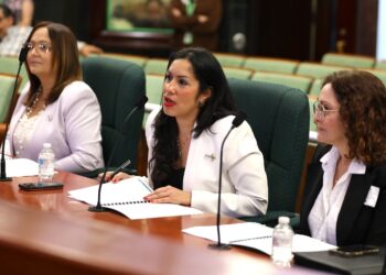 Roxanna Rosario Serrano, directora ejecutiva de la Administración de Seguros de Salud. (Foto suministrada)