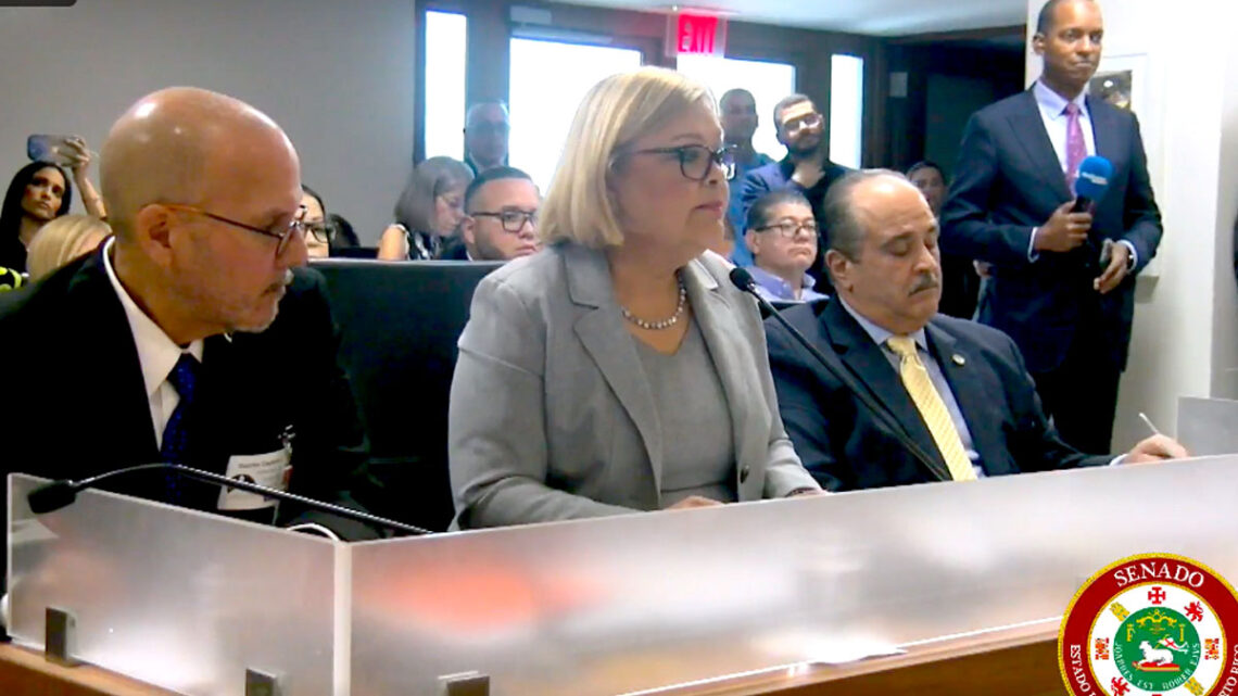 Ana Escobar Pabón, secretaria del DCR, ante el Senado. (Captura de vídeo)