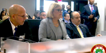 Ana Escobar Pabón, secretaria del DCR, ante el Senado. (Captura de vídeo)