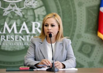 Representante Jocelyne Rodríguez Negrón. (Foto suministrada)