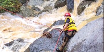 Foto: Cybernews (archivo)