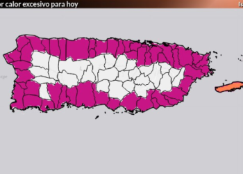 Imagen: SNM
