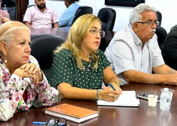 "Si volvemos a atravesar un huracán, volveremos a vivir lo que pasamos con María. Este asunto es totalmente inaceptable”, dijo la alcaldesa interina, Marlese Sifre Rodríguz, tras participar de una reunión de la Asociación de Alcaldes con directivos de LUMA Energy. (suministrada)
