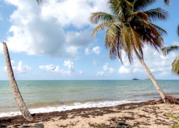 Tropical Beach en Naguabo. (Foto: Discover Puerto Rico)