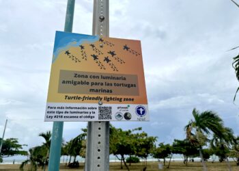 Cartel que informa sobre presencia de tortugas marinas en la entrada de la playa de La Guancha. (Foto: Michelle Estrada Torres)