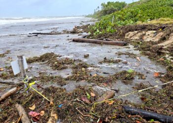 La pérdida ocurrió en la Playa Ballena, donde se registraron las primeras anidaciones de tinglares esta temporada, y en la playa junto al Ponce Hilton Golf & Casino Resort. (Foto: Michelle estrada Torres)
