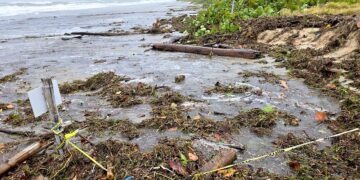 La pérdida ocurrió en la Playa Ballena, donde se registraron las primeras anidaciones de tinglares esta temporada, y en la playa junto al Ponce Hilton Golf & Casino Resort. (Foto: Michelle estrada Torres)