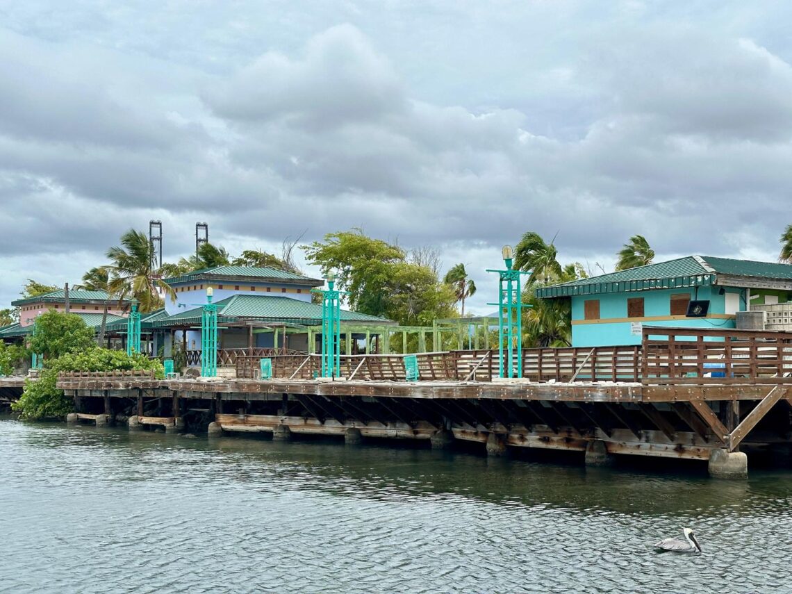 Foto: Michelle Estrada Torres