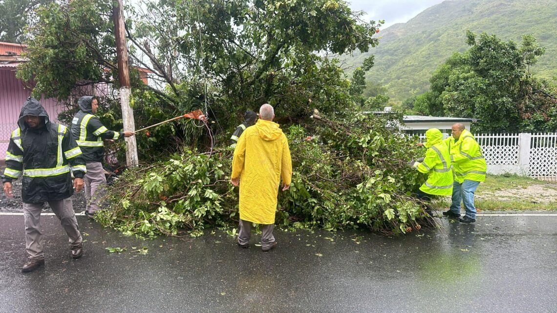 OMME removiendo árbol caído en la Plena. (Foto: Karilyn Bonilla/Facebook)