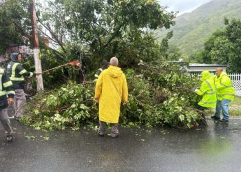 OMME removiendo árbol caído en la Plena. (Foto: Karilyn Bonilla/Facebook)