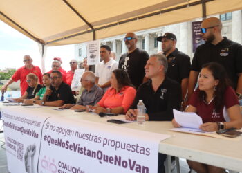 “Movilizaremos a nuestras matrículas y al pueblo para que no voten por quienes no se comprometan con nuestras propuestas”, subrayó María del Mar Rosa-Rodríguez, presidenta de la APPU. (Foto suministrada)