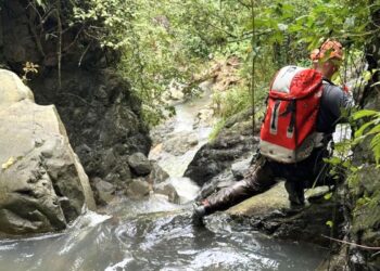 Foto tomada del portal Aventuras Salvajes PR.
