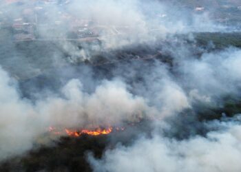 Foto: CyberNews/Archivo