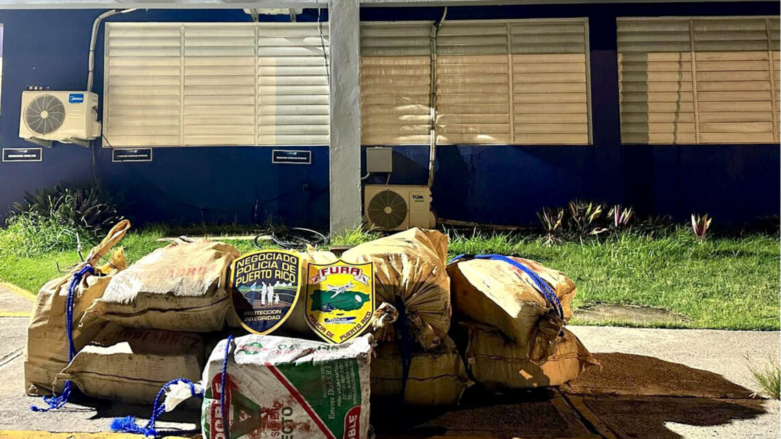 Cargamento de cocaína ocupado por la Policía. (Foto suministrada)