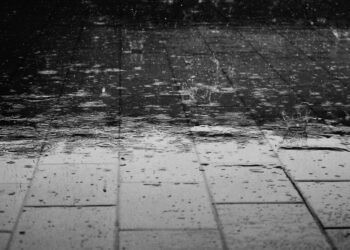 (Foto: Pexels)