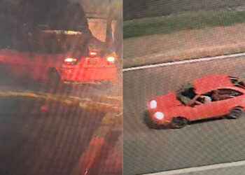 (Fotos suministradas)