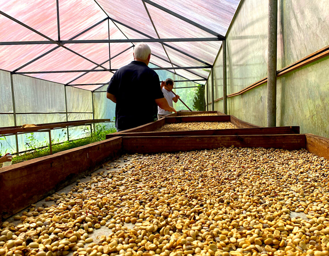 El evento será el jueves 5 de diciembre, desde las 1:00 de la tarde, en la Hacienda San Pedro. (suministrada)