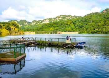 Embarcadero Lago Dos Bocas, en Utuado. (suministrada)