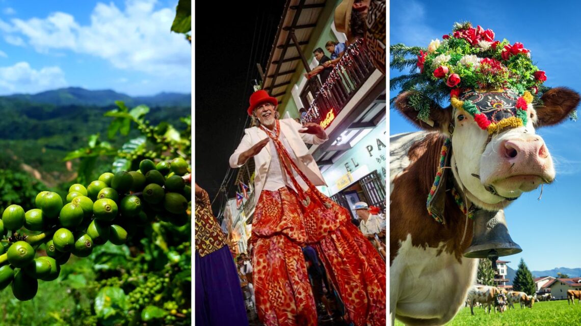 Hoy también se celebra la Fiesta del Acabe del Café de Adjuntas y el Festival de la Novilla en San Sebastián.