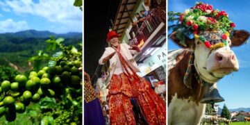 Hoy también se celebra la Fiesta del Acabe del Café de Adjuntas y el Festival de la Novilla en San Sebastián.