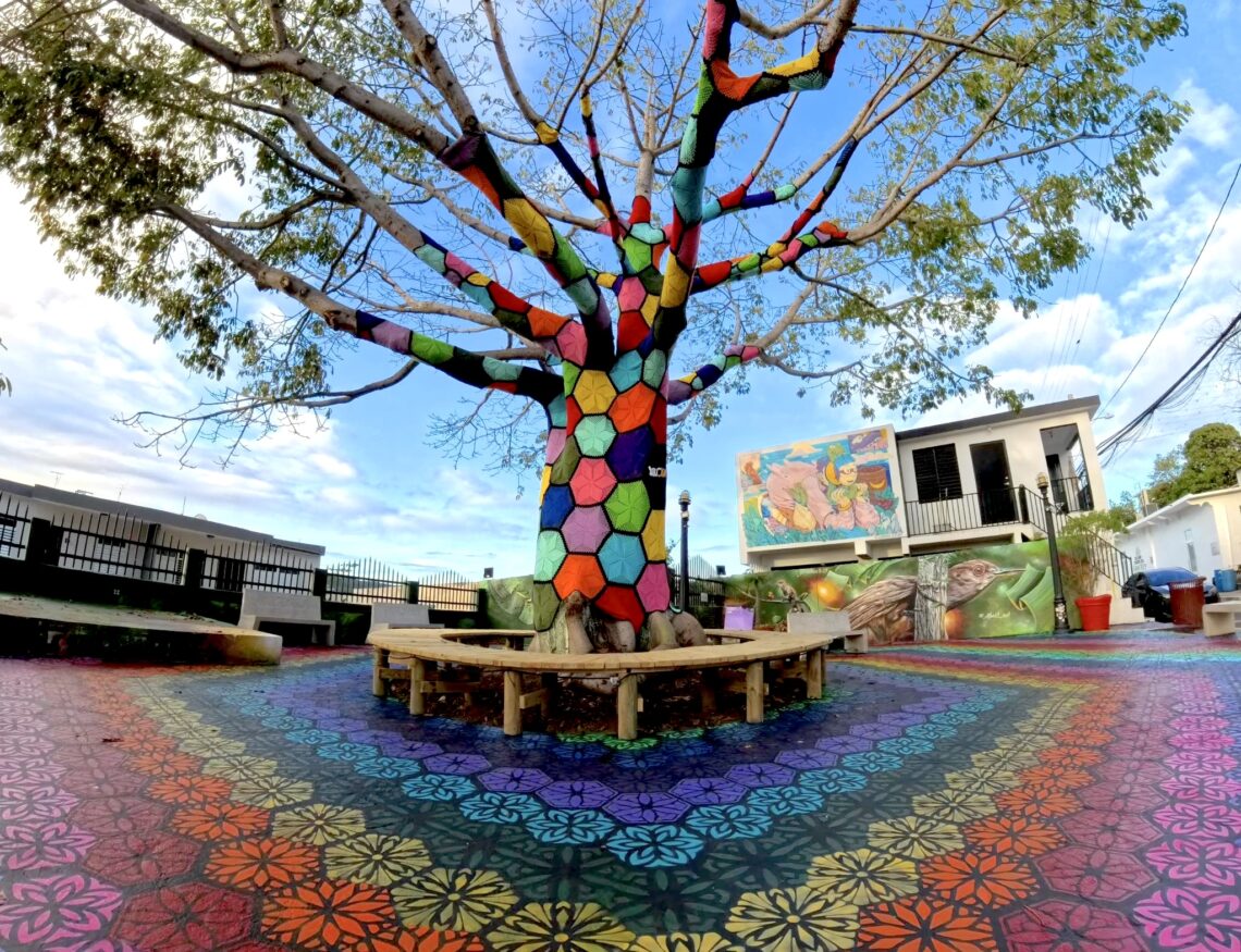 Árbol Tejido en la Placita Pablo “El Negro” en Yauco. (Foto: Yaucromatic)