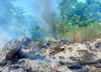 Bomberos de Boquerón y Rincón extinguieron el viernes un fuego forestal en la carretera PR-115 en Villas de Añasco. (Foto: Negociado de Bomberos / Facebook)