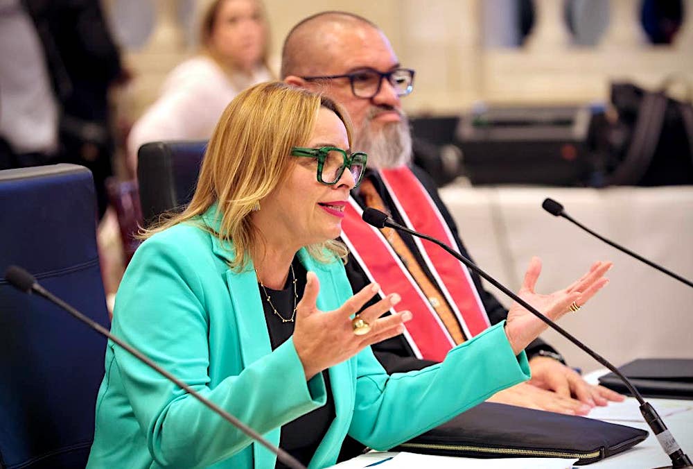 Vivian Godineaux Villaronga, presidenta del Colegio de Abogados y Abogadas de Puerto Rico. (Foto: Senado de Puerto Rico)