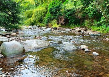 Foto: Discover Puerto Rico